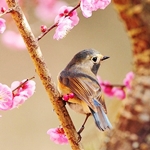 Ганна Іскренко