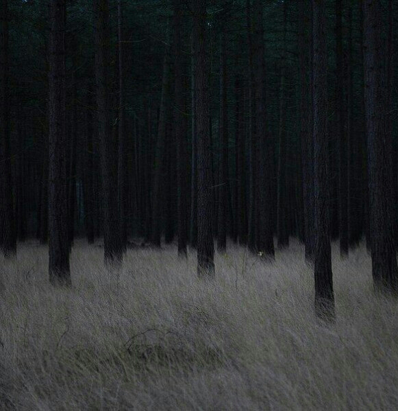 Ірина Мельничин