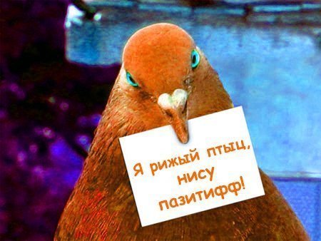 Біліба Тетяна