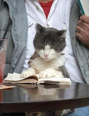 Гордій Миколайович Рацієнко