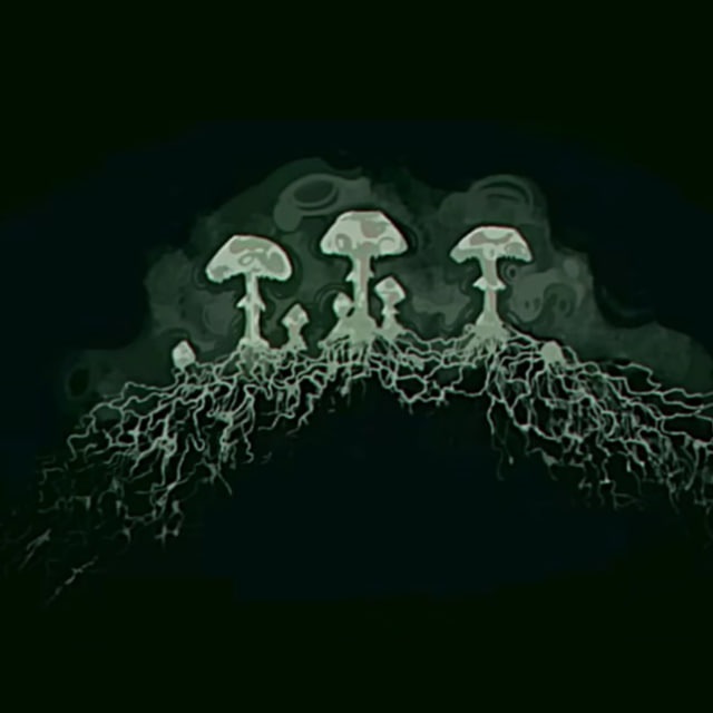 Тетяна Журавель Сергіївна