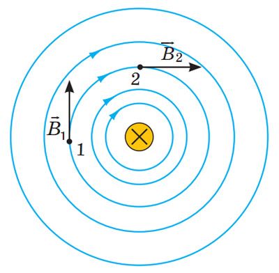 Лінії магнітної індукції