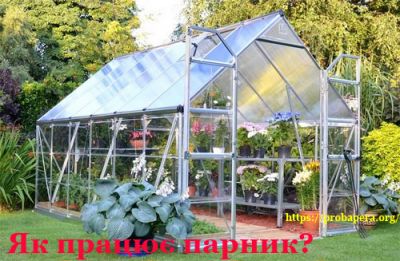 Конвекція. Питання про парник