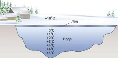 Градієнт температур водойми взимку