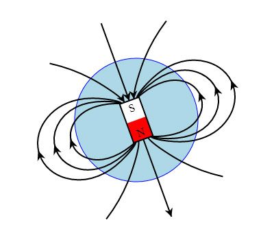 Усі магніти мають два полюси