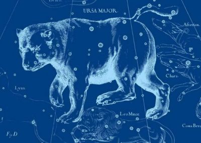 Велика ведмедиця