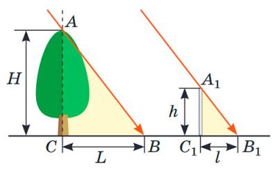 Задача про дерево та тінь