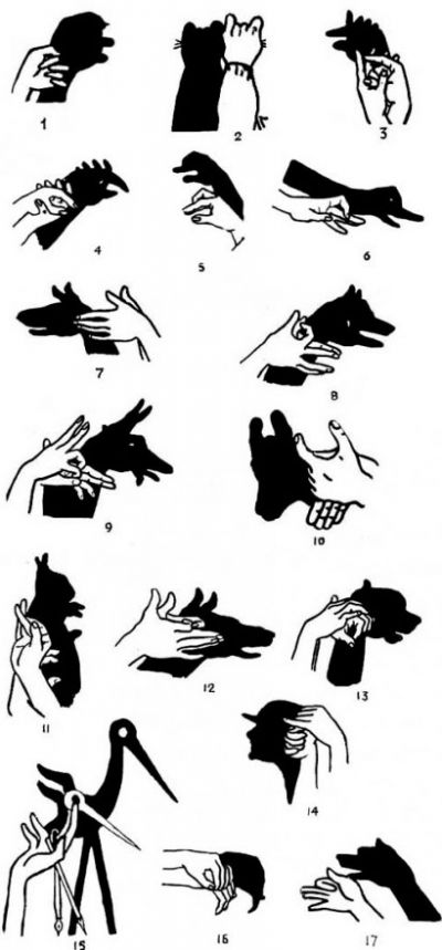 Тіні від рук. Гра тіней