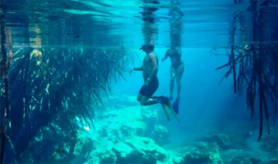 Задача про повне відбивання