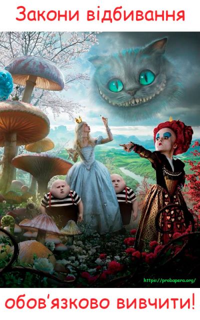 Вчимо закони відбивання світла