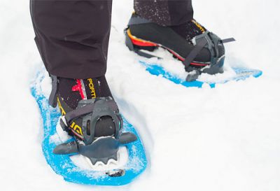 Чому мешканці Півночі використовують снігоступи?