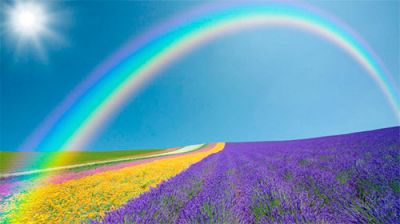 Видиме світло