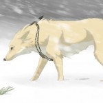 Анью Радзивилл