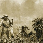 Польовий Дослідник