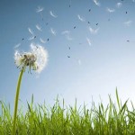 Наталя Данилюк