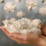 Ольга Моцебекер