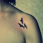 Гоша Олександрійський