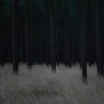 Ірина Мельничин