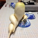 Галя Погуляй