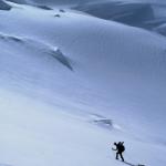 Юрий Стайер