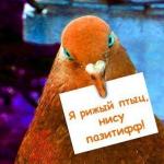 Біліба Тетяна