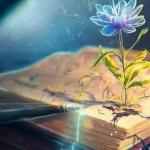 Катерина Ляшенко