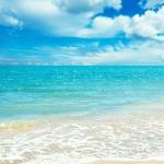 Соломія Михайленко