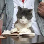 Гордій Миколайович Рацієнко