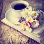 Алла Прокопчук