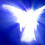 Новосад Оксана Степанівна