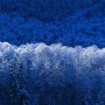 Лєля Ободовська