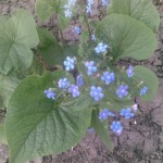 Така Як Всі