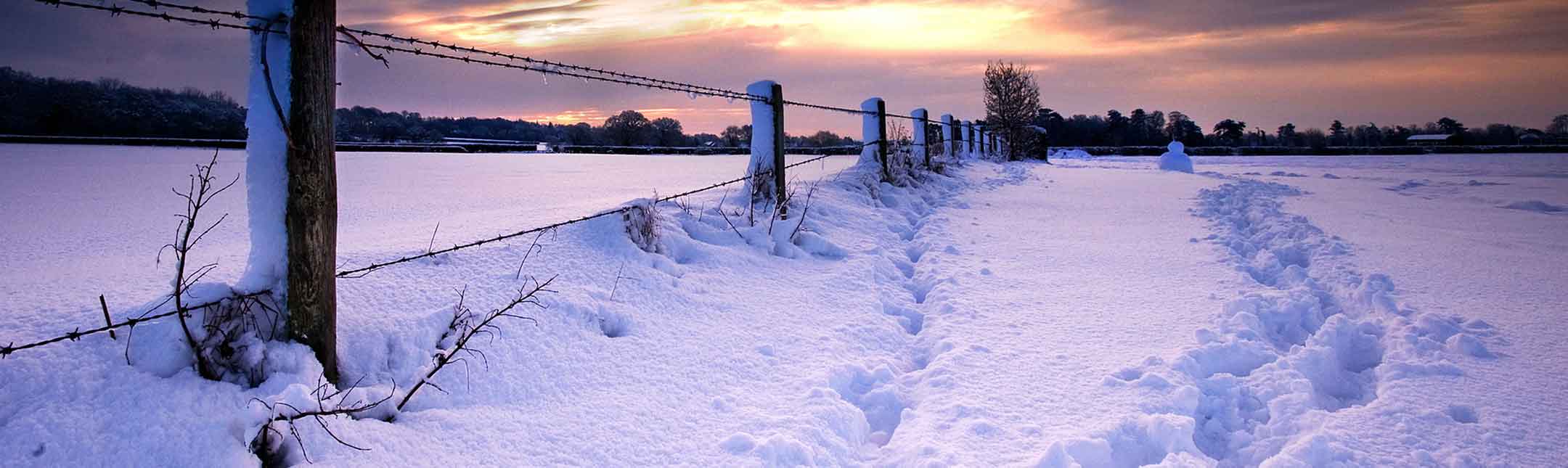 Куди втому стелиш, навіщо?